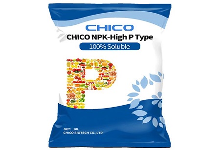 Каковы различия между NPK Compound Fertilizer и NPK Soluble Fertilizer?