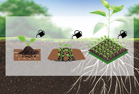 Арфа Голд®-Использование благотворных грибов для устойчивого земледелия