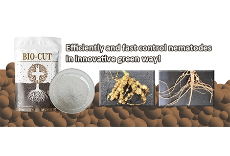 Эффективное и быстрое управление нематодами инновационным зеленым способом!