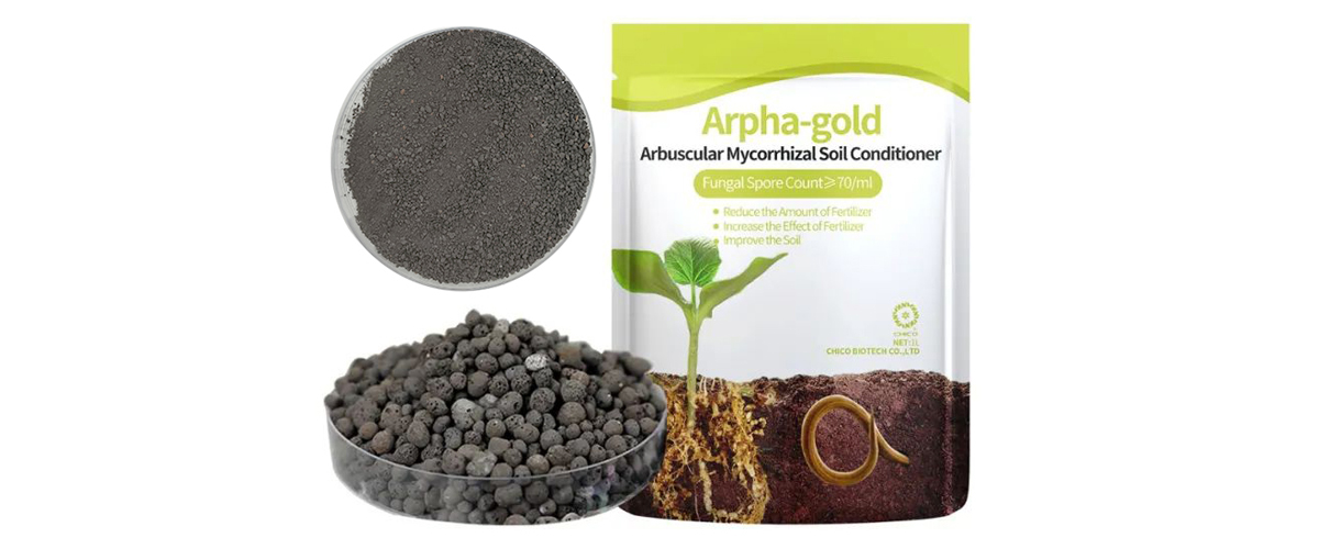 How-can-we-protect-crops-during-typhoon-season-06.jpg How-can-we-protect-crops-during-typhoon-season-06.jpg