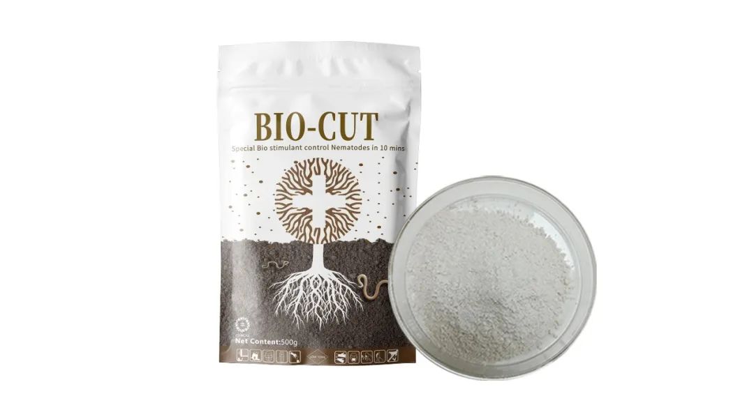 bio-cut-exclusive-biological-solution-for-nematode-control_03.jpg bio-cut-exclusive-biological-solution-for-nematode-control_03.jpg