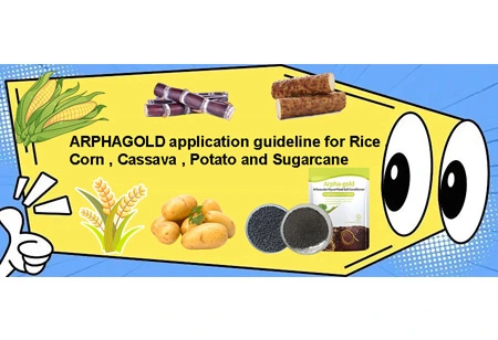 ARPHAGOLD руководство по применению для риса, кукурузы, маниоки, картофеля и сахарного тростника?