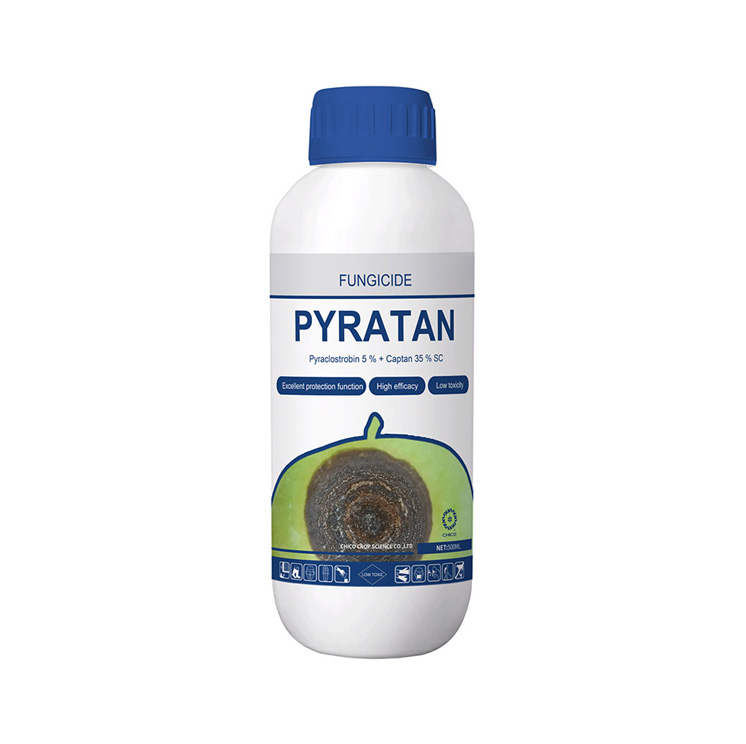 pyratan-captan-35-pyraclostrobin-5-sc-fungicide-01